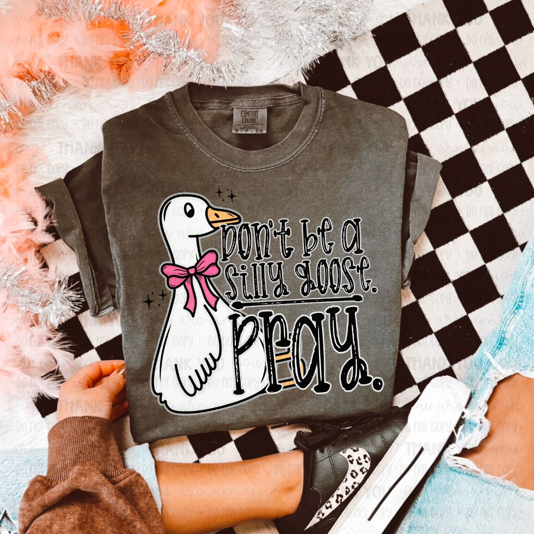 Don't Be A Silly Goose. Pray.
